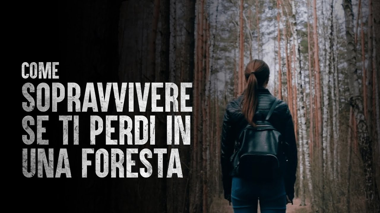 Come sopravvivere se ti perdi in una foresta