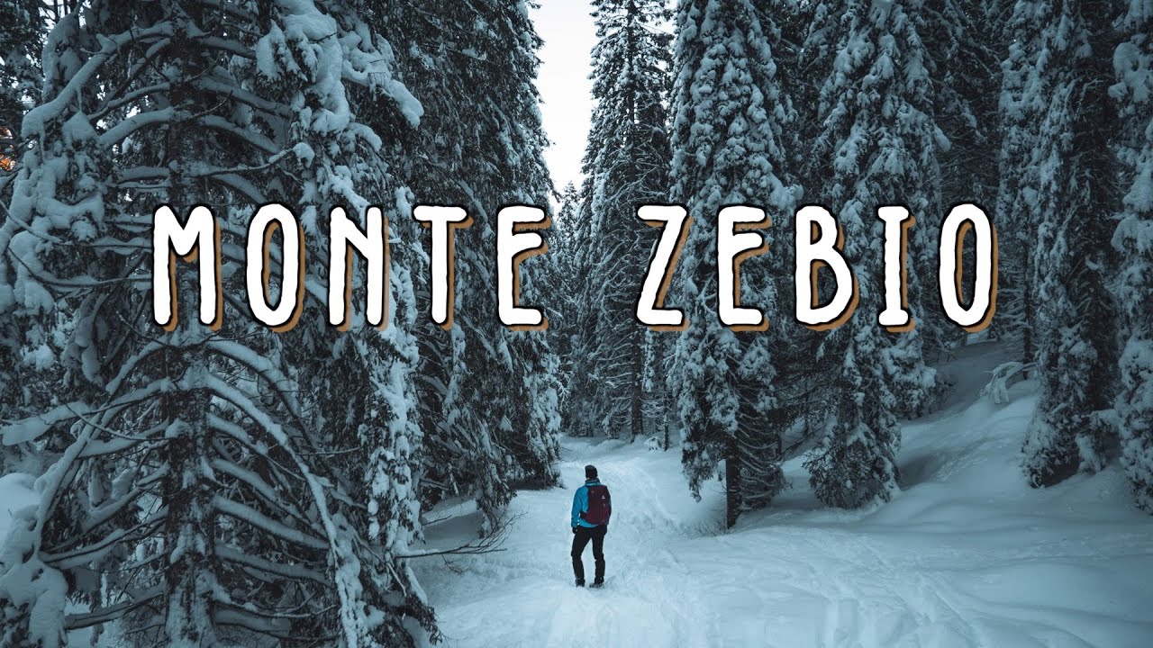 Neve e boschi da favola - MONTE ZEBIO &bull; mt 1705 slm &bull; Altopiano di Asiago
