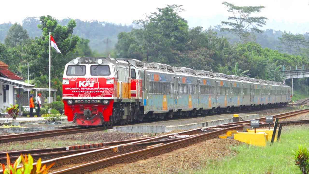 KERETA API PANJANG‼️ MENEMUKAN 23 KERETA API DI STASIUN DAN TIKUNGAN