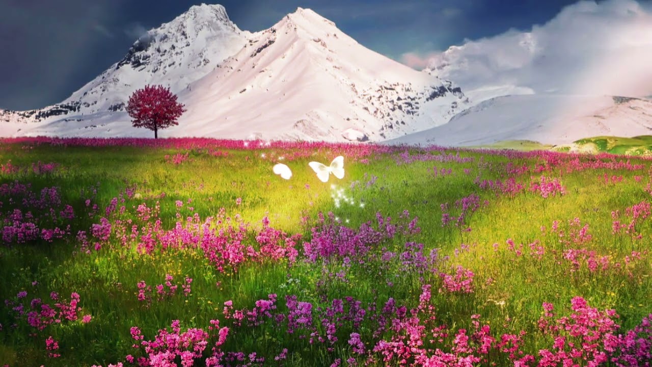 Nature Lofi 🎧 Música para Relaxar e Aliviar o Estresse