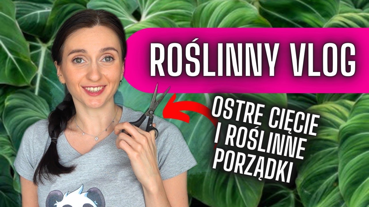 Ostre cięcie i roślinne porządki 🌿Roślinny VLOG 🌱 Gosia i Miłosz Vlog