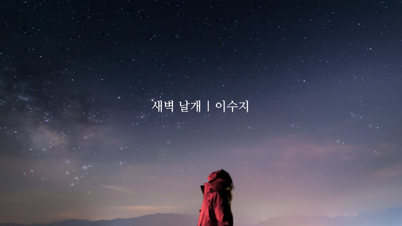 새벽 날개 | 이수지