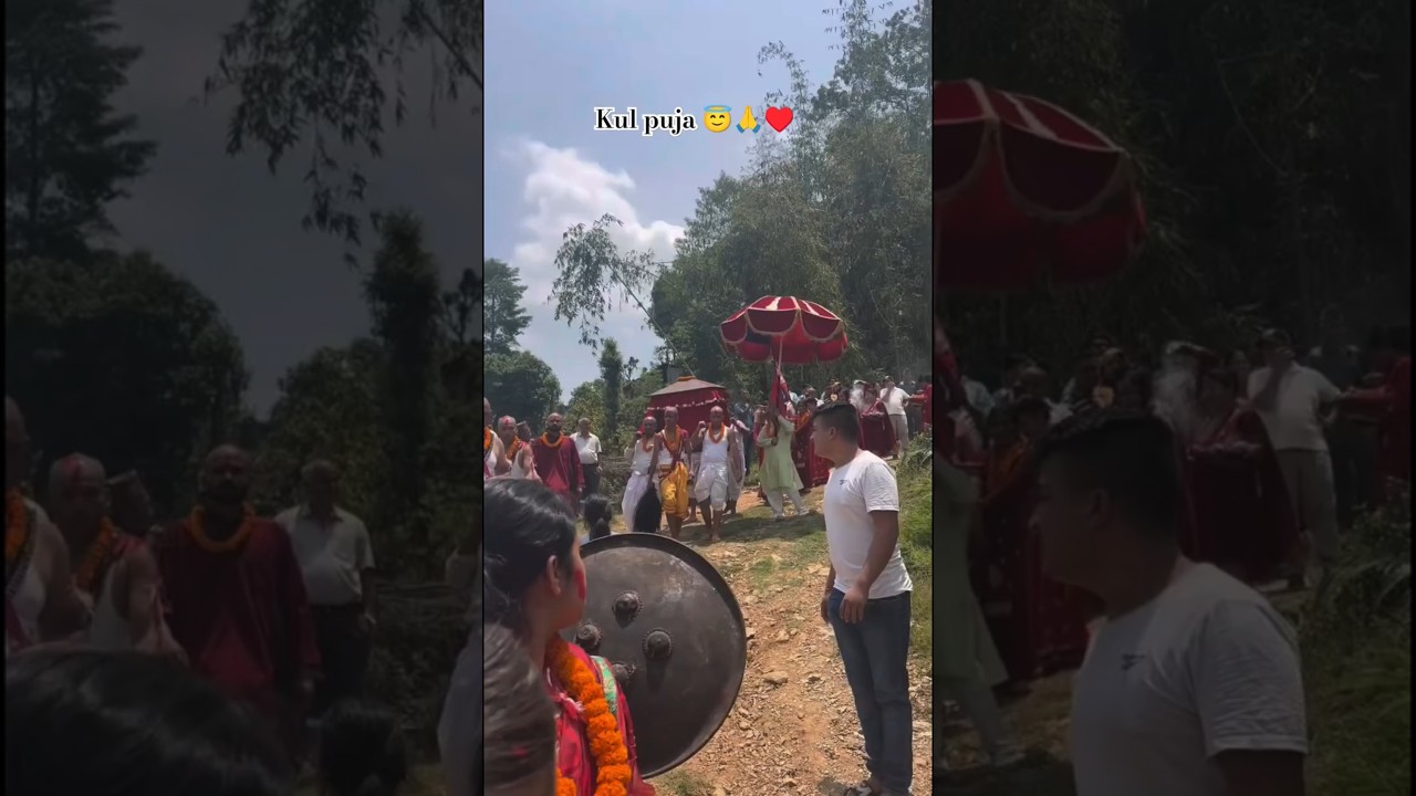 Palanchok bagale thapa kul puja #kulpuja#nabinathapa#nepal #traditionandculture #shorts #shortsfeed
