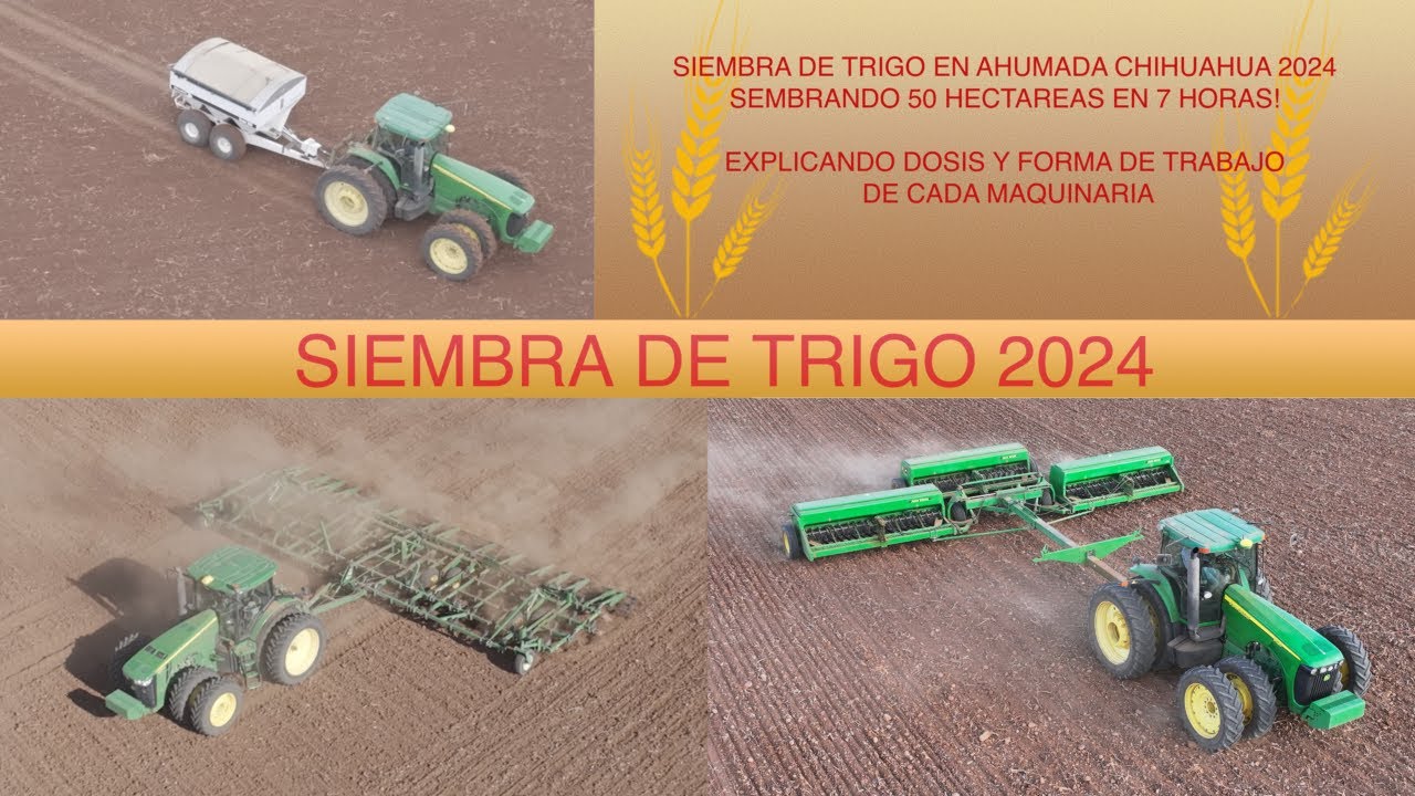 En este video Vamos a Fertilizar, Cultivar y Sembrar Trigo en Ahumada Chihuahua Mexico! Menonitas