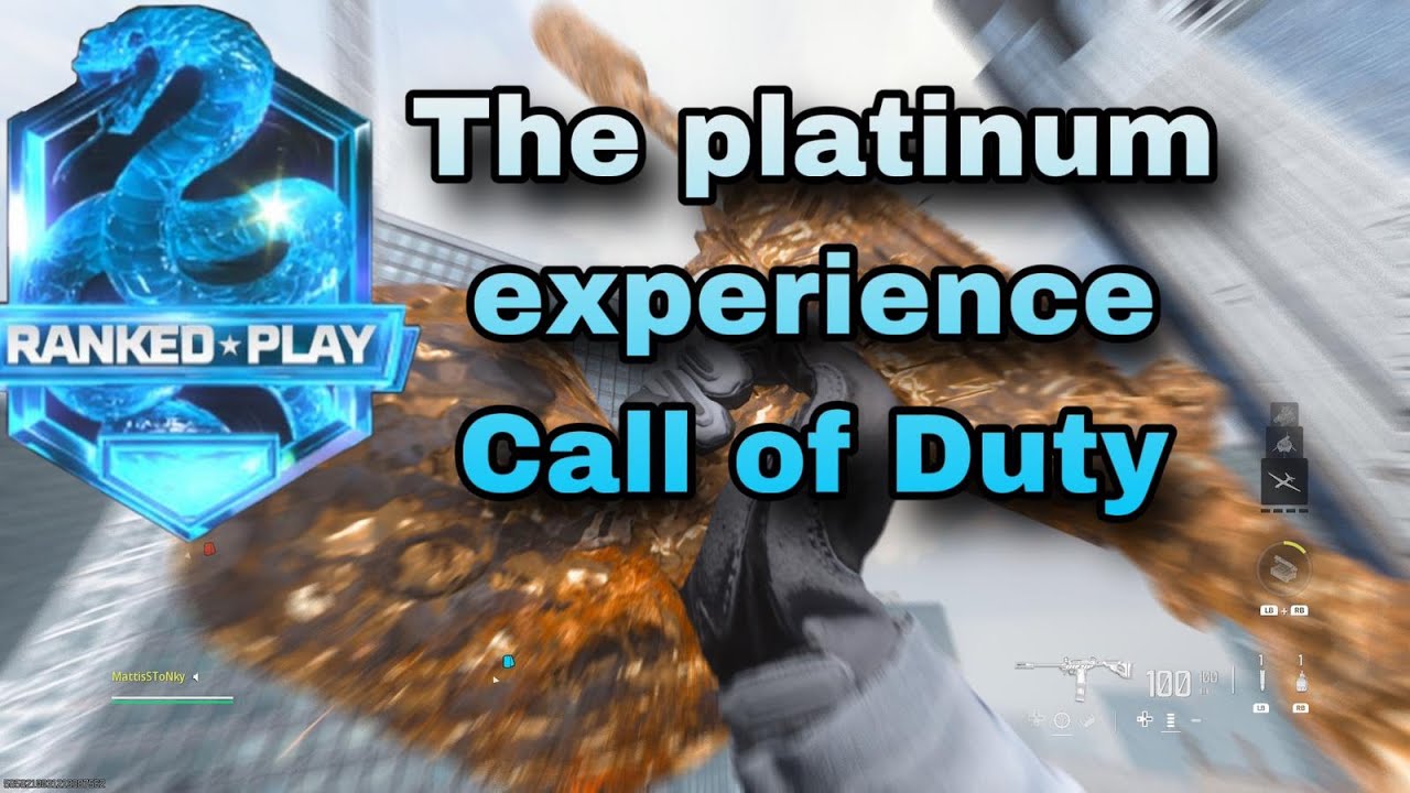 The platinum experience in Call of Duty Warzone (With the Blips)