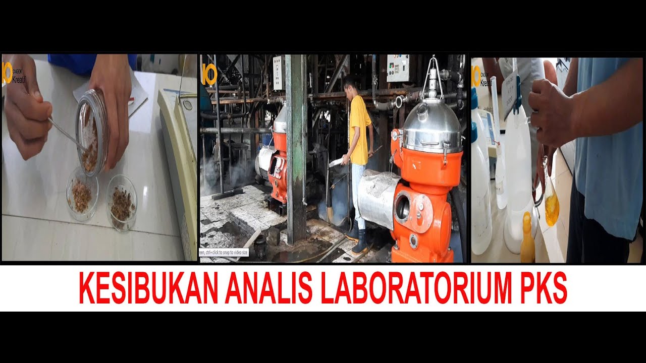 KESEHARIAN ANALIS LABORATORIUM PABRIK KELAPA SAWIT #ANALIS #LABOR #LABOR PABRIK