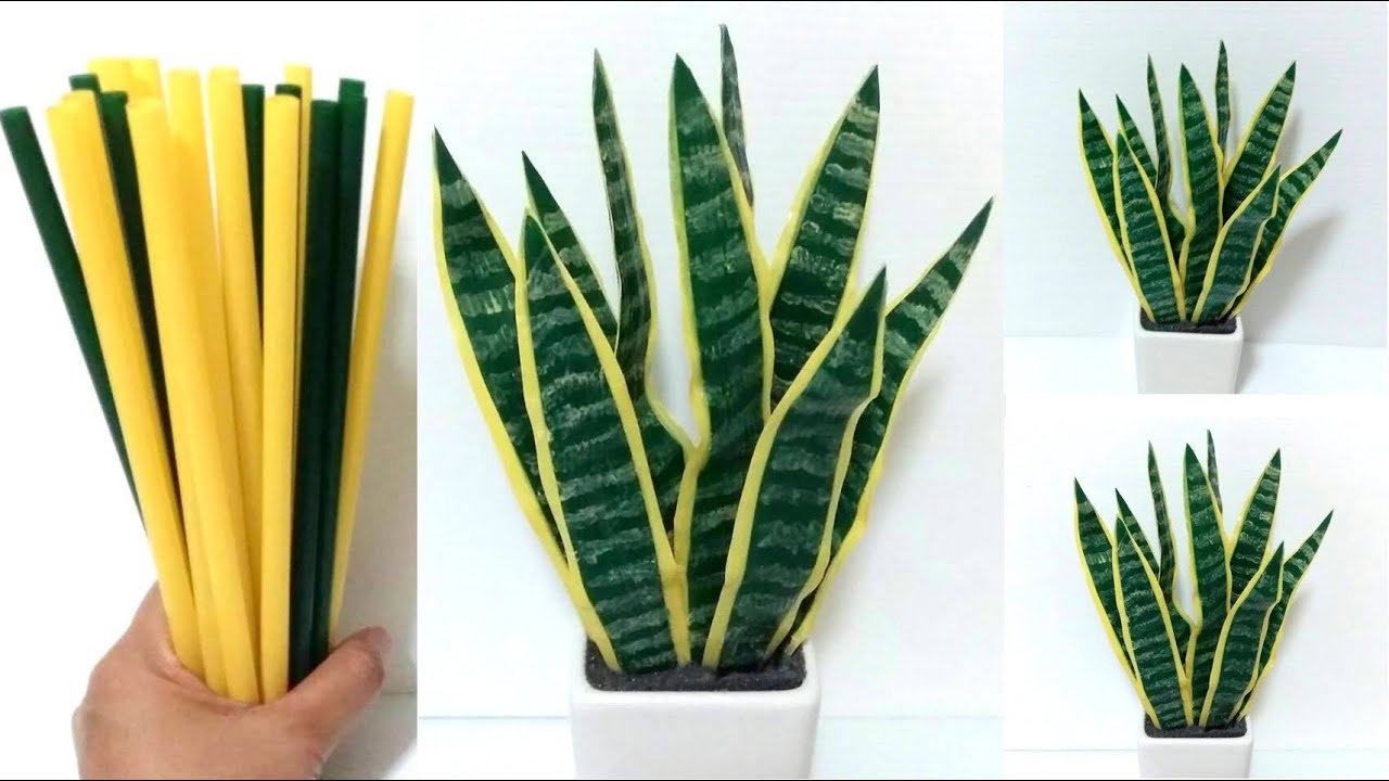 ดอกไม้จากหลอด ต้นลิ้นมังกรจากหลอด by มายมิ้นท์ Sansevieria trifasciata from straws.