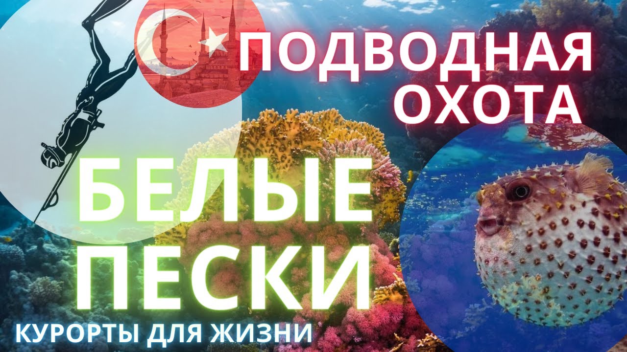 Подводная охота на Средиземном море. Белые пески.