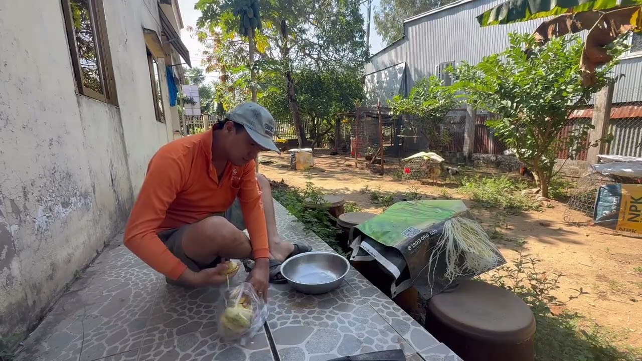 Thứ 7 cuối tuần bổ sung chuối cho gà tơ tết tới đích 