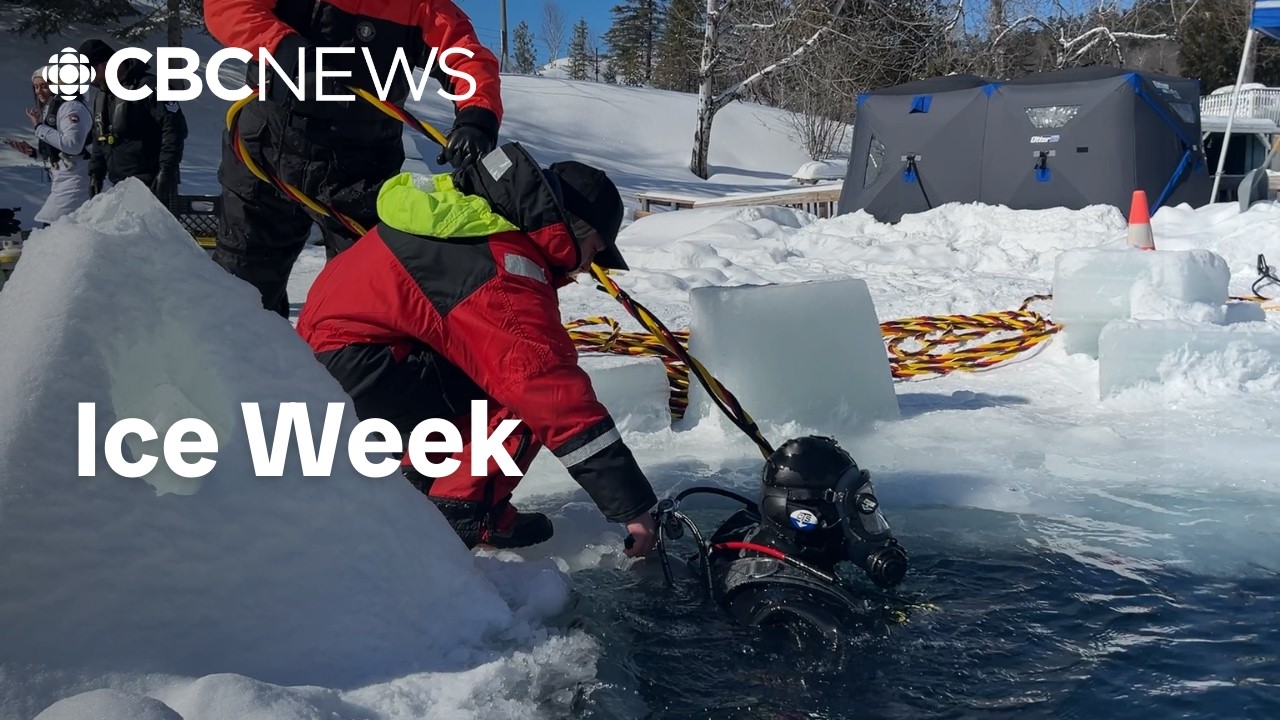 Watch police divers training for icy water operations