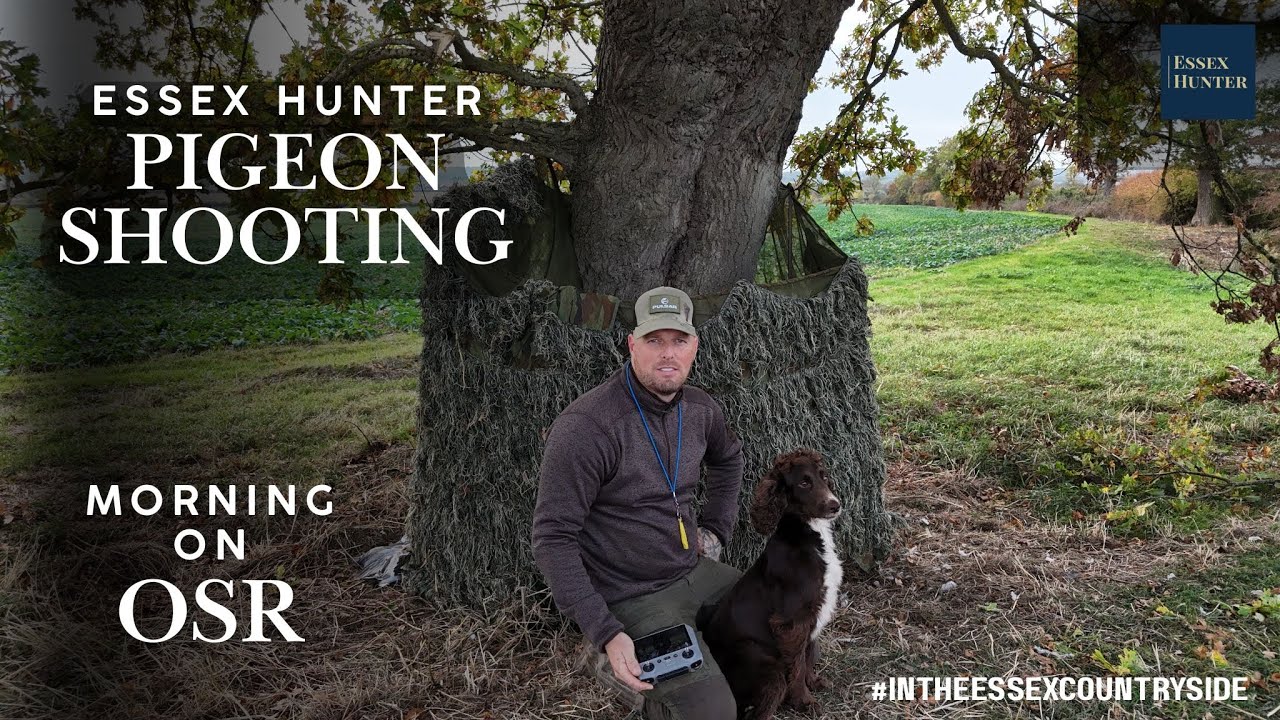 DECOYING PIGEONS ON OSR!!! PIGEON SHOOTING