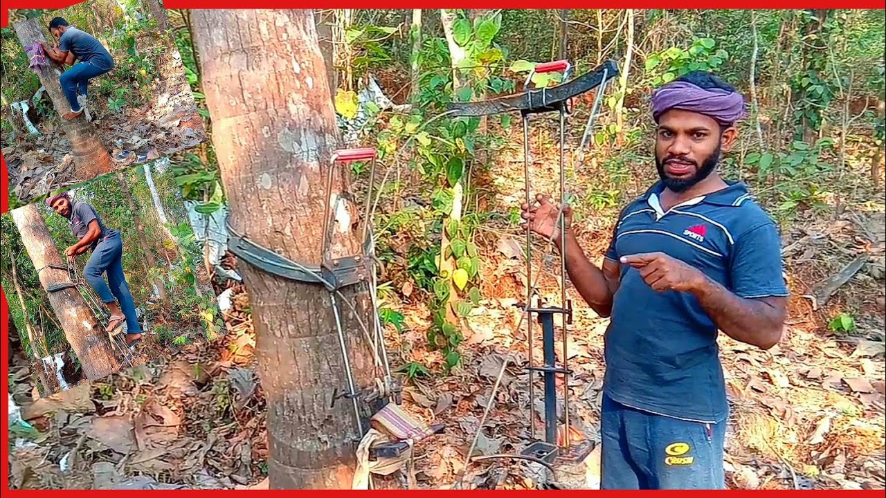 തെങ്ങുകയറ്റം പരിശീലിക്കാം | coconut farming tricks | തെങ്ങുകയറ്റ പരിശീലനം | selfie stick vlog