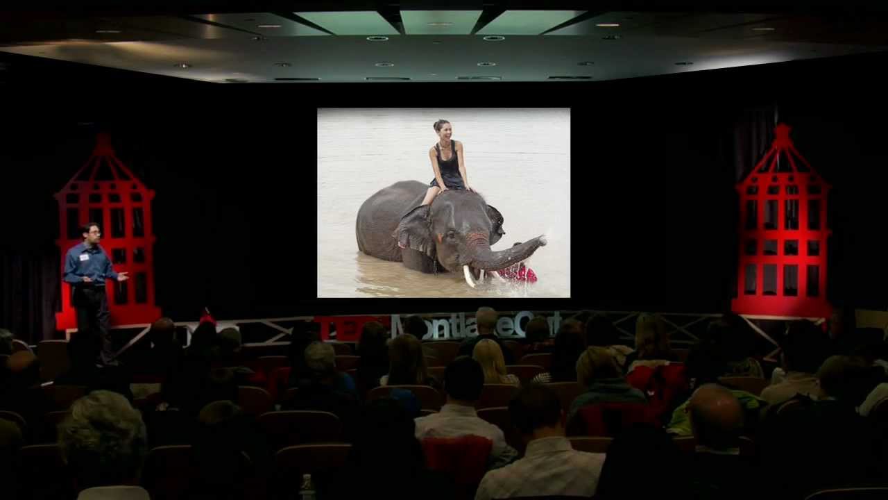 Слон, всадник и вы: Стеф Френцль на TEDxMontlakeCut
