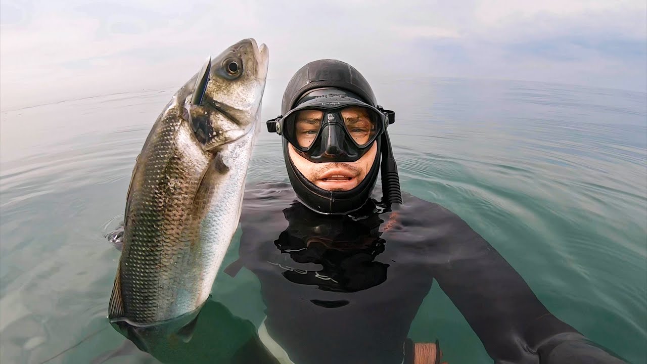 Bass spearfishing UK & how to get perfect crispy skin fish!