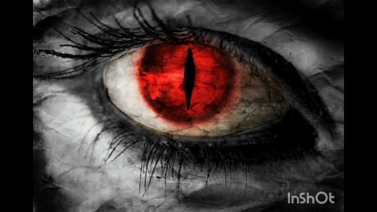 Your Eyes Keep Telling You Lies