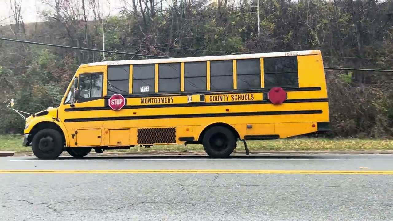 18423