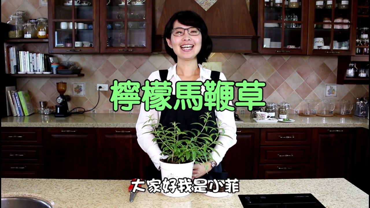 檸檬馬鞭草  | 泡茶香草系列 | 森林有塊田