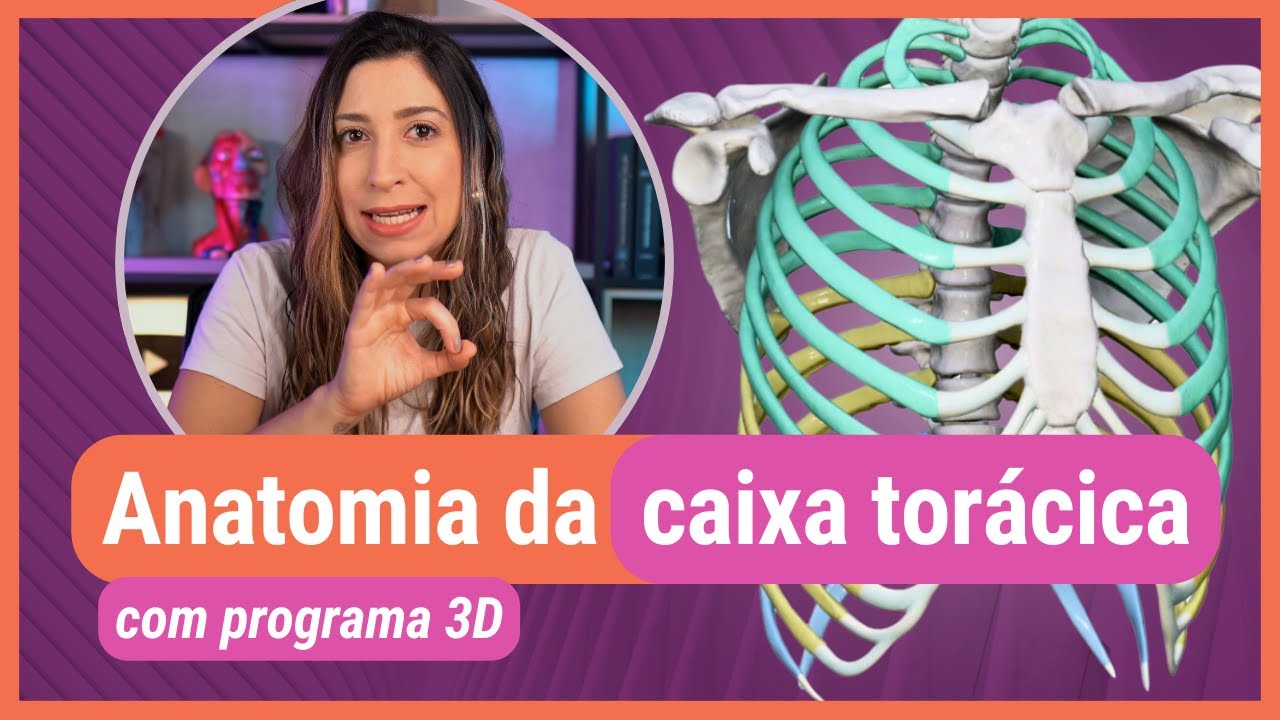 ANATOMIA DA CAIXA TORÁCICA! Com programa 3D