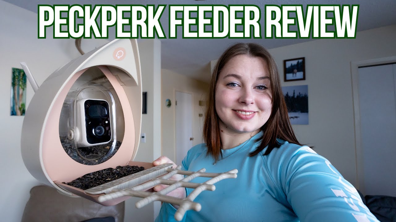 Will Smart Bird Feeder Work in a Canadian Winter?? Full Review - PeckPerk Avia Peck I Birdfeeder