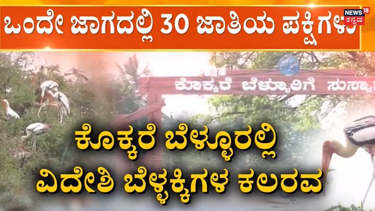 Kokkare Belluru | ಬಣ್ಣ ಬಣ್ಣದ ಹಕ್ಕಿಗಳ ಚಿಲಿಪಿಲಿ.. ಜನ ಖುಷ್