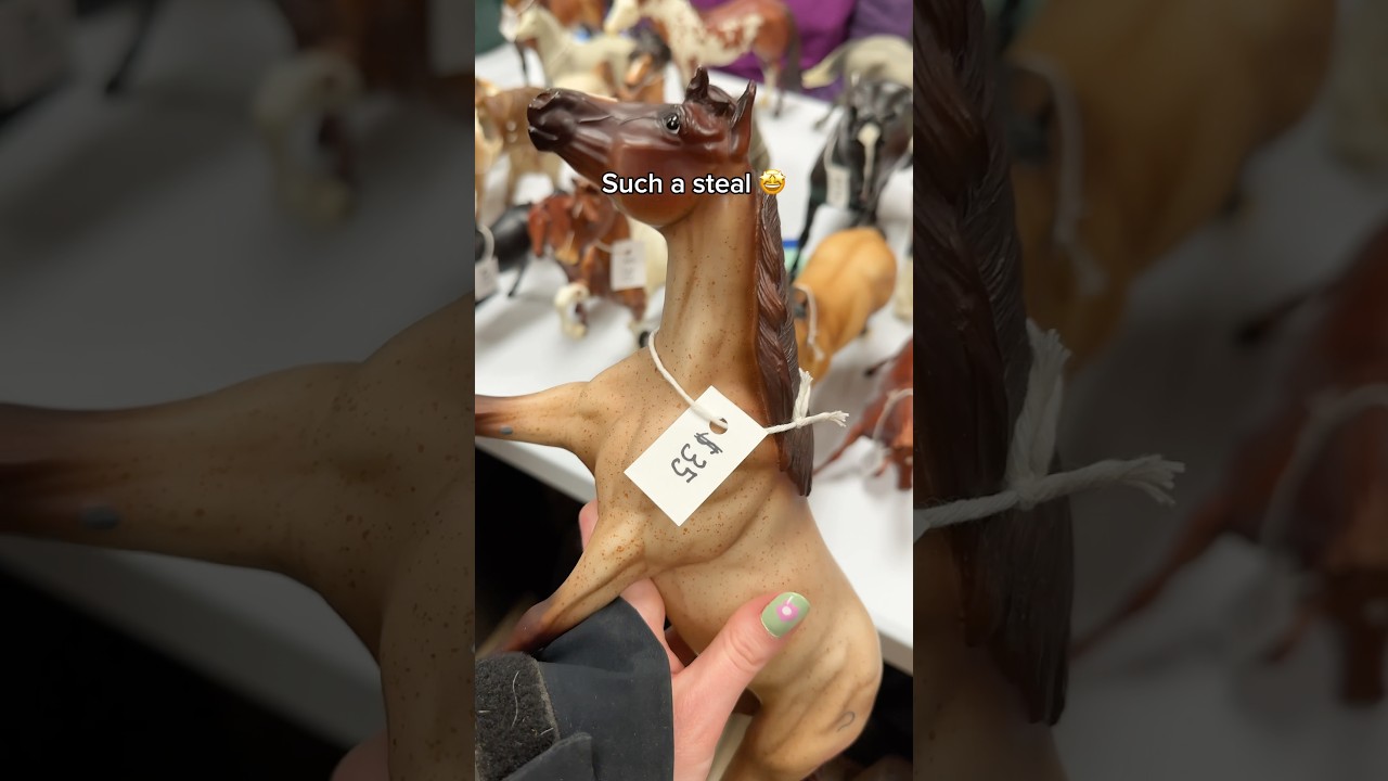 I GASPED when I saw this Breyer horse in the wild #breyerhorses #breyer #horse #modelhorse