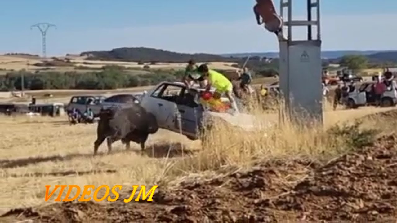 Le da la vuelta al coche.!!! Malaga del Fresno Encierro Campo 2022