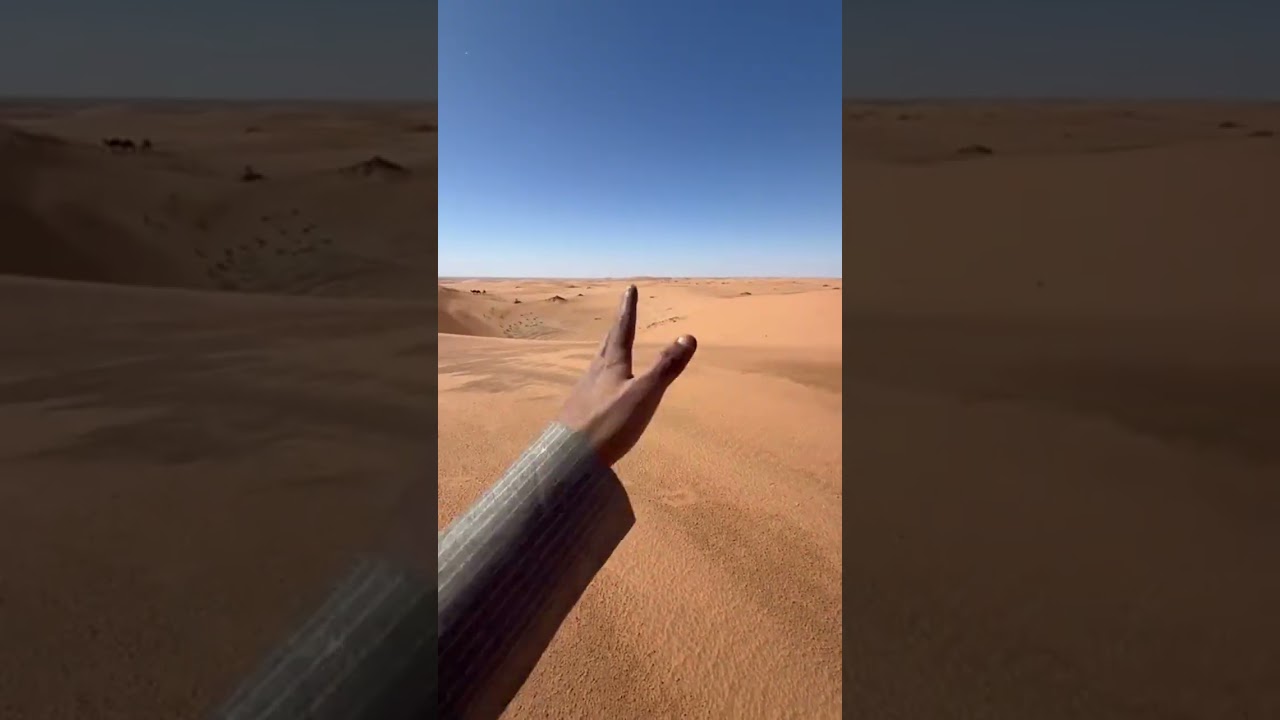 قعيد المجد في البر 