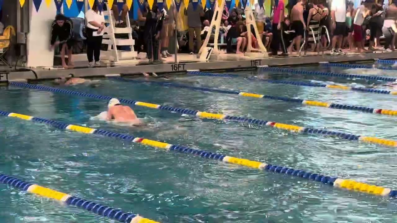 Danis 200 IM 