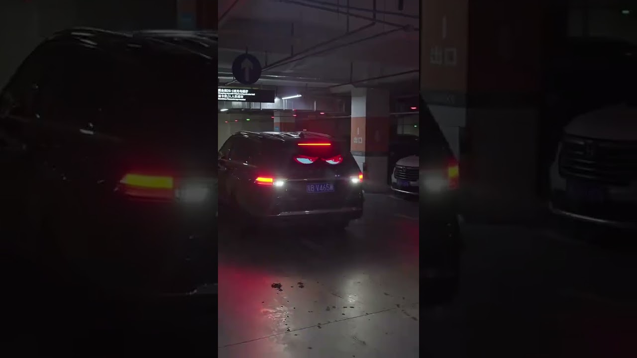 Miootly Flexible Matrix Pixel Demon Eyes Light For Car | Full Install & Demo