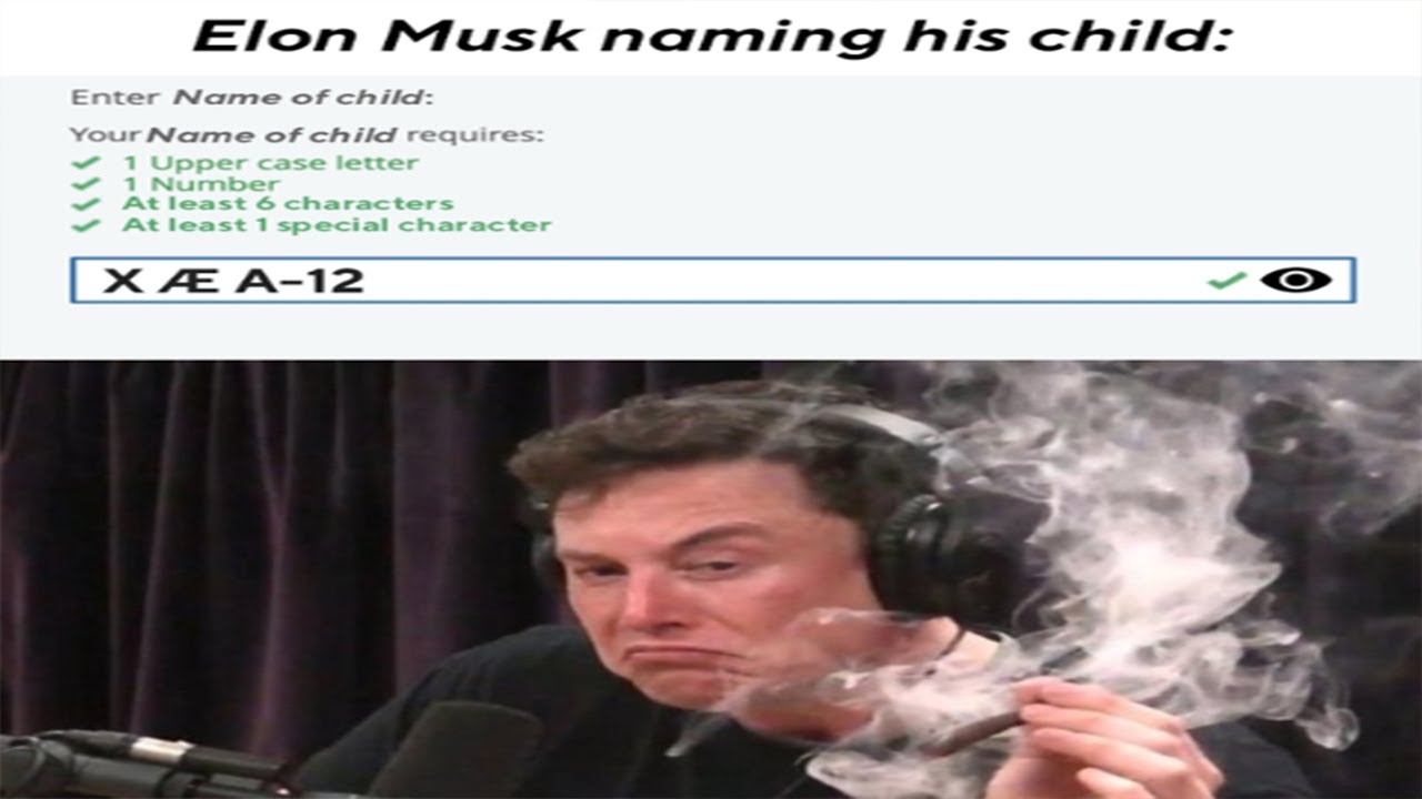 Daily Reddit Memes 8