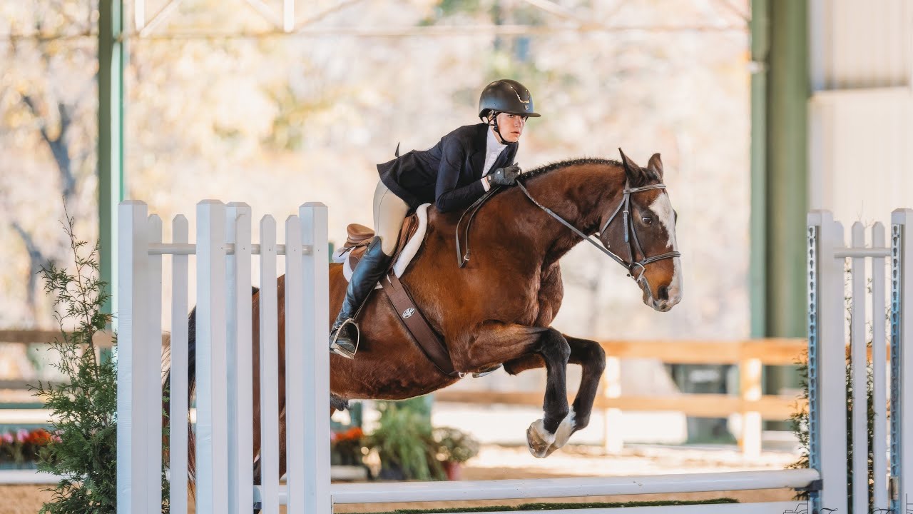 Emma Kaminski MHSA Pre-Children’s regional finals O/F, 4th place on Vicarus 11/2/24