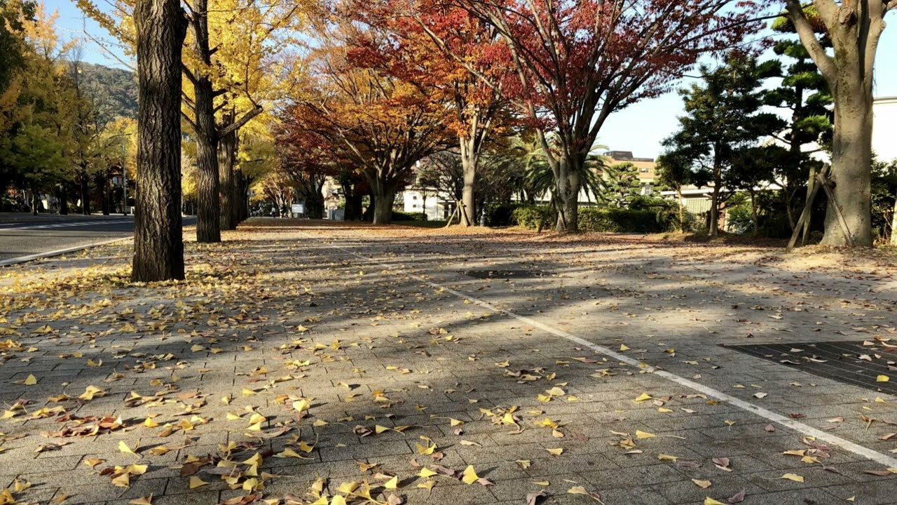 これまでの道 ‐ 朝木春美千