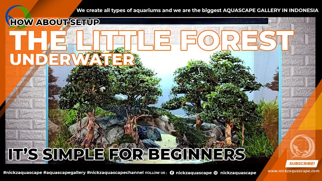 NICKZ AQUASCAPE NATURAL BONSAI