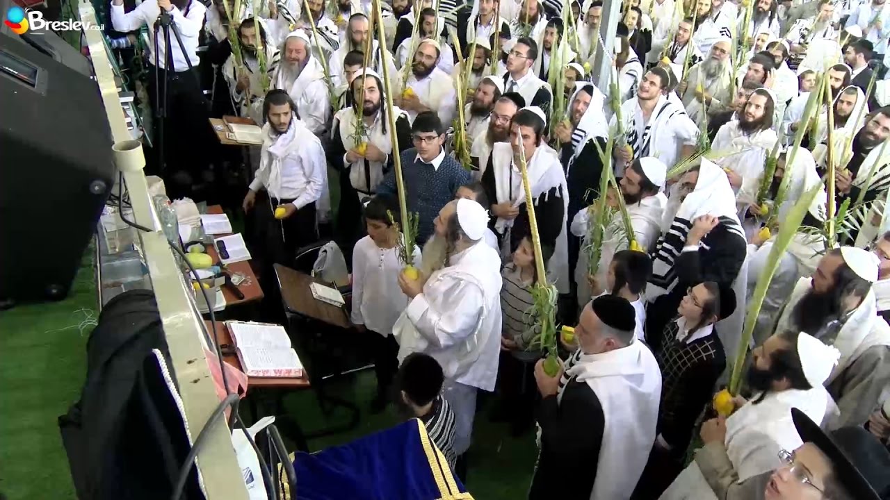 Hallel with Rabbi Shalom Arush, Hoshana Raba, 5777