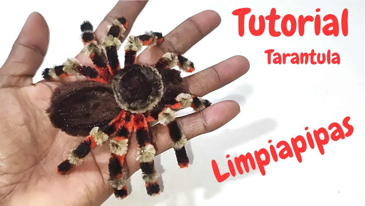 Araña (tarantula) con limpiapipas/tutorial facil paso a paso/haloween