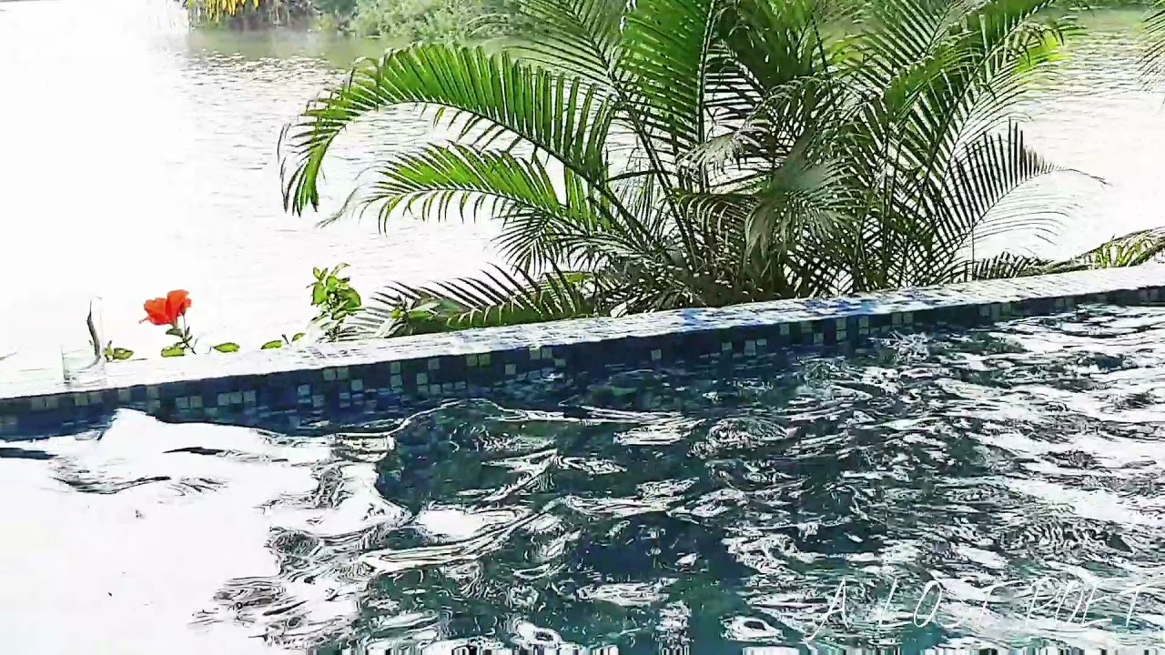 Goa travel | serene waters
