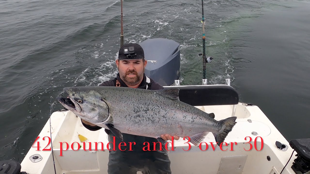 LIMITS BIG salmon Bodega Bay and More!!!
