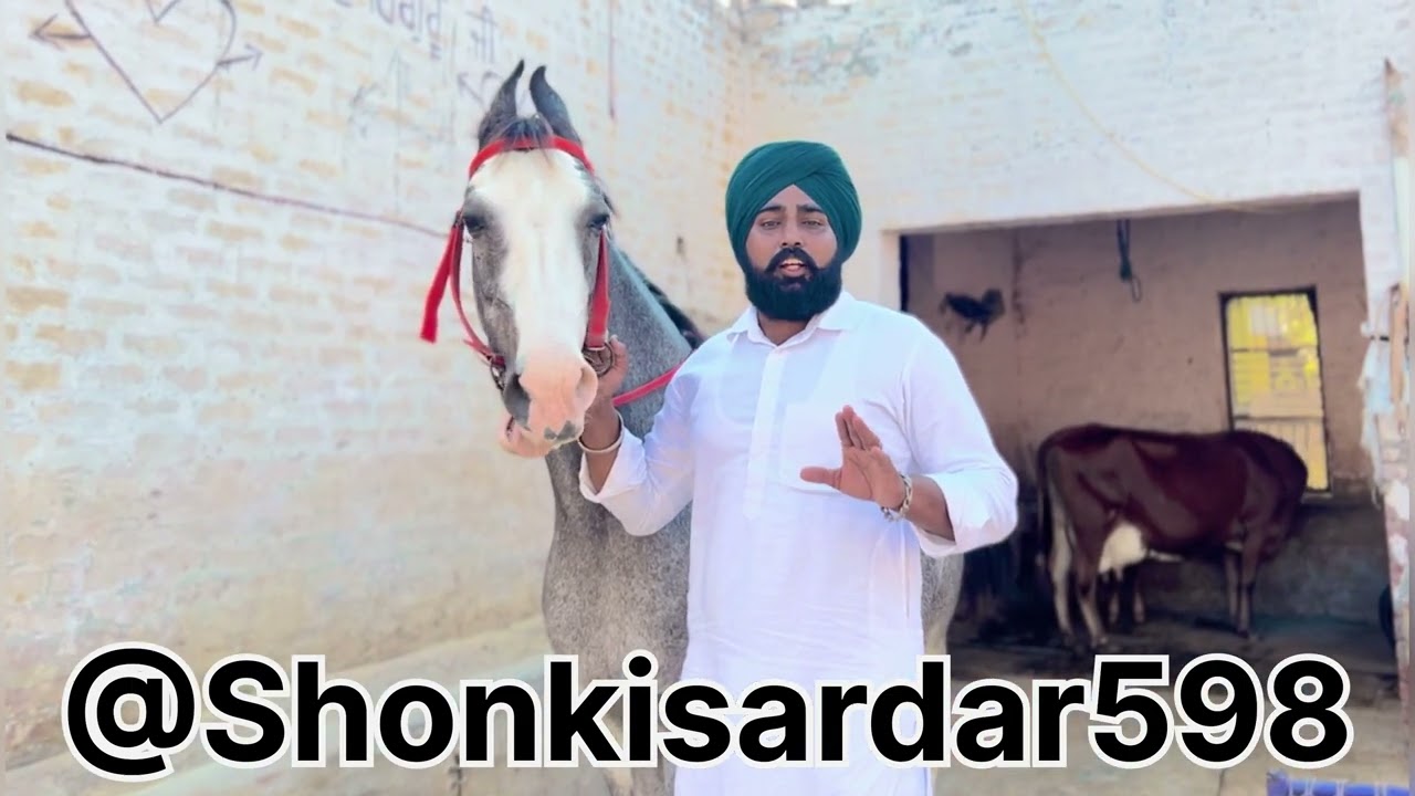 ਸਾਰੀ ਵੀਡਿੳ ਦੇਖੋ ਵਾਈ ਕੁਝ ਗੱਲਾ ਨੇ #horses #trendingshorts #shonkisardar #sukhjinder_lopon