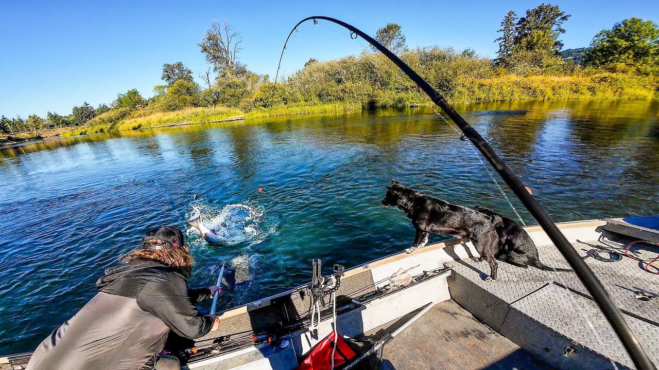 Catching GIANT FISH in a Tiny River w/ @Addicted Fishing  (CATCH CLEAN COOK)