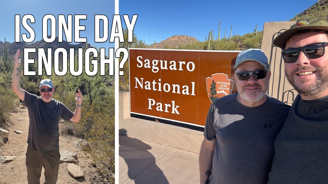 A one day itinerary to see as much of Saguaro National Park as possible!