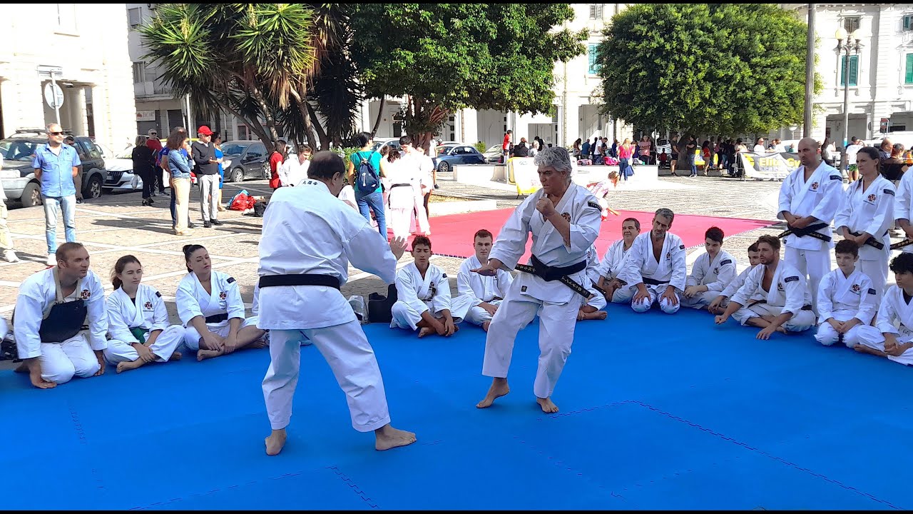 SHORINJI KEMPO ITALIA/少林寺拳法 