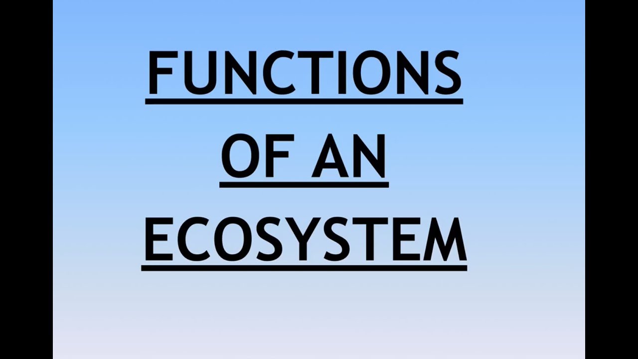 Environment and Ecology Lecture 3 - Functions of an Ecosystem