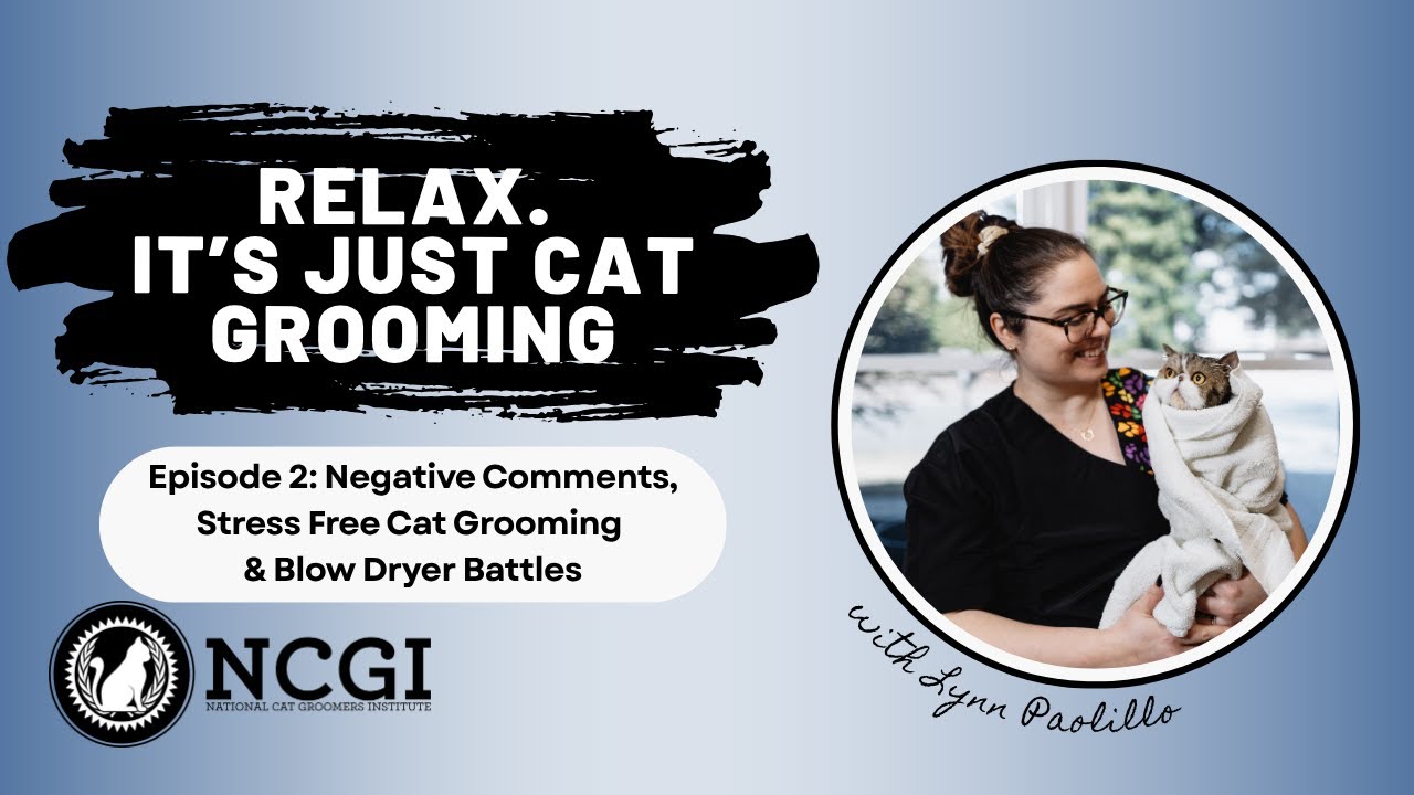 Negative Comments, Stress Free Grooming & Blow Dryer Battles | Relax. It’s Just Cat Grooming Ep.2