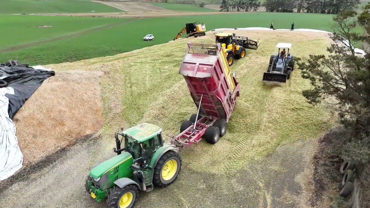 Sowry’s biggest maize stack of 2024… size of a mountain!