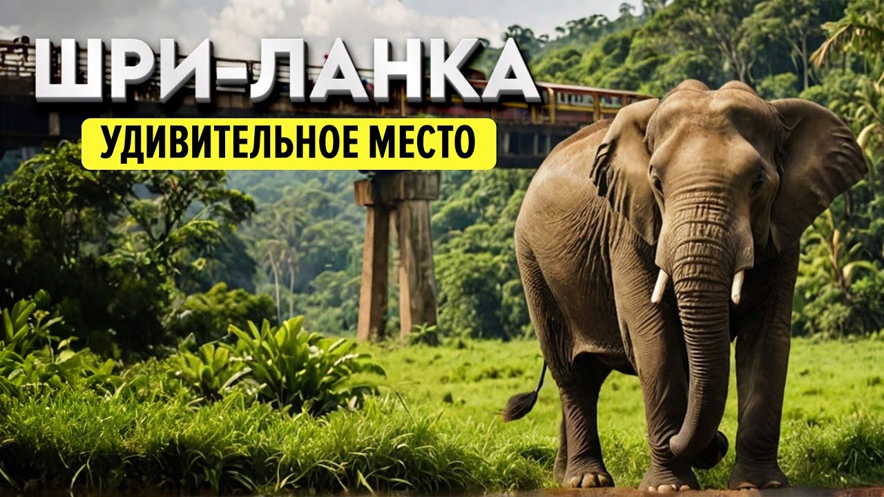 ШРИ-ЛАНКА | Встреча с животными в дикой природе | Чайные плантации | Волшебство буддийских храмов