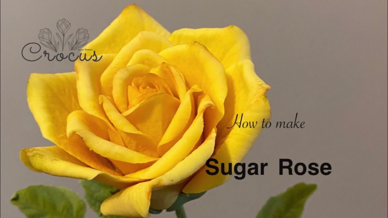 Sugar rose  tutorial   / Gumpaste  Rose tutorial  /  How to make a classic gumpaste rose