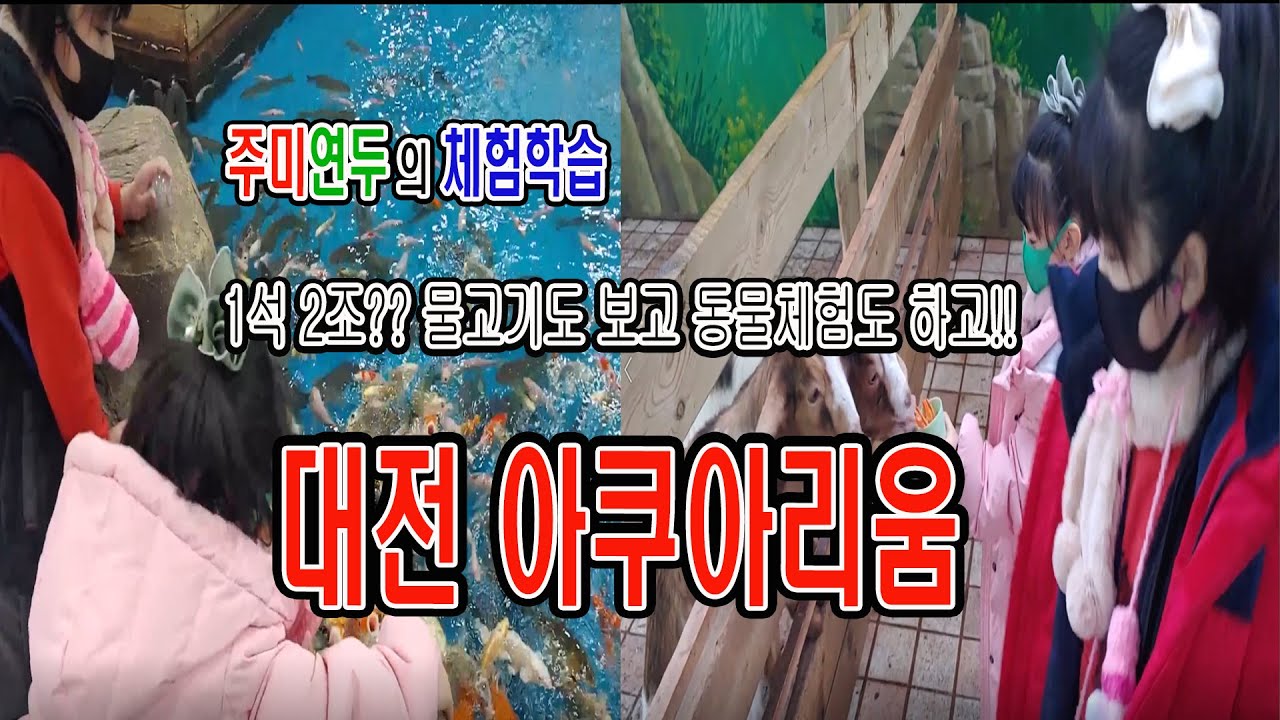 (대전 아쿠아리움)아쿠아리움을 갔는데 동물체험을 할 수 있다고??