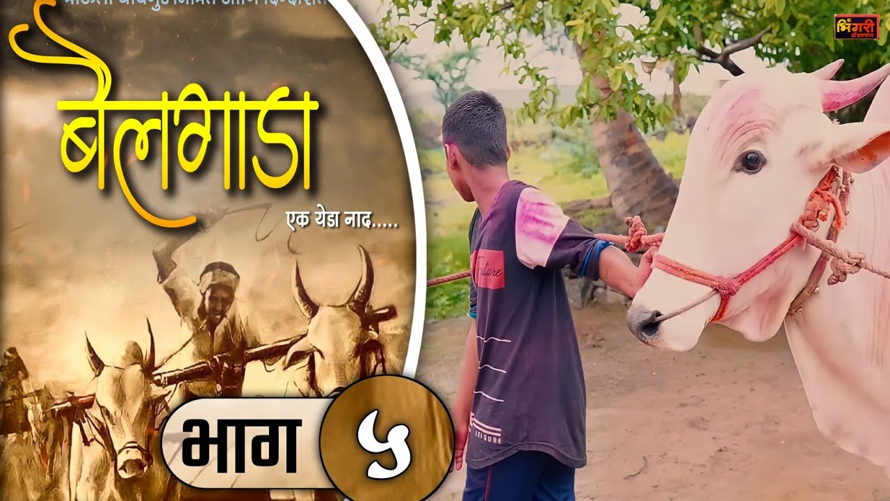 बैलगाडा एक येडा नाद | भाग #५ | मराठी वेब सिरीज | bailgada ek yeda naad | Ep #5 | marathi web series