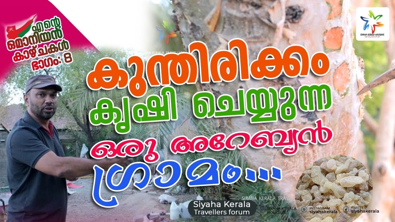 കുന്തിരിക്കം വിളയുന്ന ഭൂമി | ഒമാൻ യാത്രകൾ  #EP 8