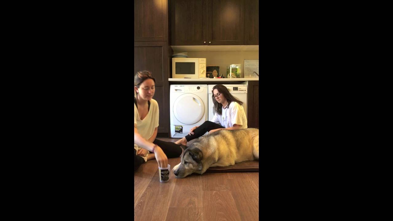 grooming with bucket game